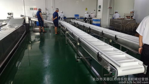 食品行業專用輸送線定制解決方案 高效、衛生、多功能