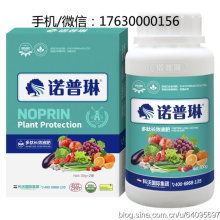 散裝食品的興衰與轉型 在傳統與現代之間尋求平衡